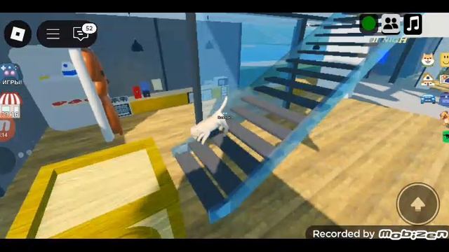1000014227.mp4