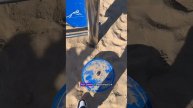Обзор тренажеров на пляже в Торревьехе