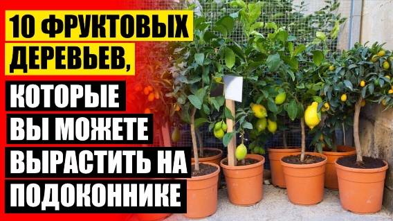 КАК ПРАВИЛЬНО ПОСАДИТЬ КОСТОЧКУ