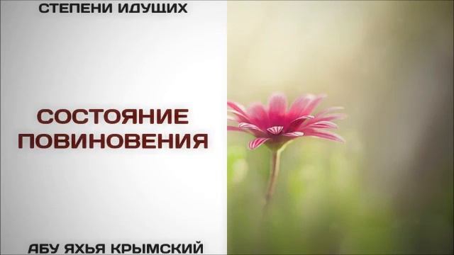 Состояние повиновения  Абу Яхья Крымский