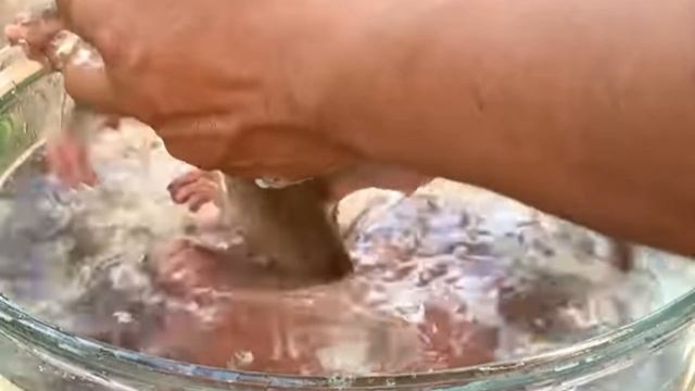 Обезьянка КРОХА ЧЕБУРАХА уже не брошенка КУПАЕТСЯ Привыкла МИЛОТА