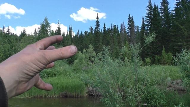 54 Серия По Глухой Таежной Тропе вышли к Широкой мелкой
