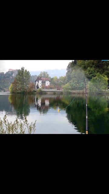 #fishing #carpfishing #carp #рыбалка #games Ловля Линя весом 4 кг 🎣🦈?
