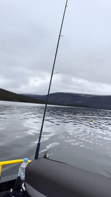 Ловозеро: рыбалка мечты! #lake #fishing #карелия  #russia