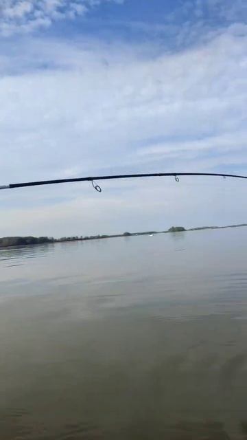 #fish #fishing #kazan #spinning #рыбалка #tatarstan #татарстан #окунь #суд?