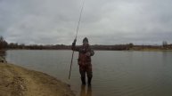 КРУПНАЯ РЫБА РВЁТ ЛЕСКУ. 7 ВИДОВ РЫБ и даже КАРАСЬ. Рыба