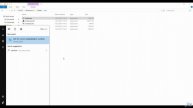 029 CODING Model Importing