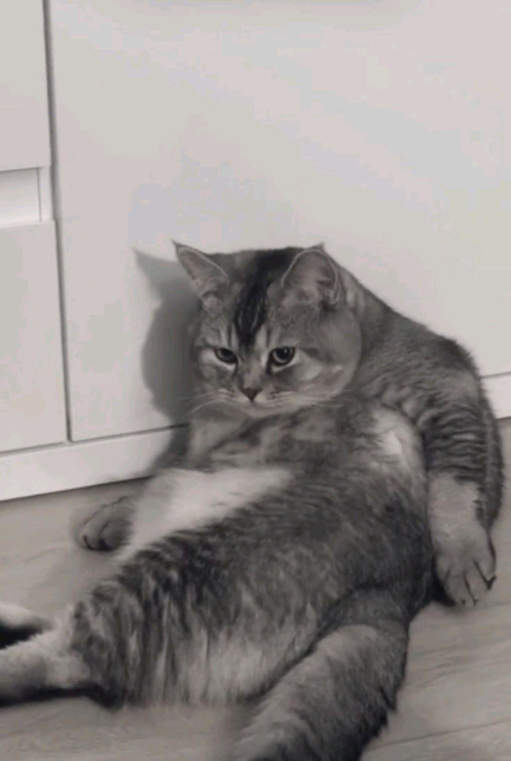 хз