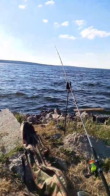 Белоярское водохранилище . #рыбалка #лещ #fishing #лещнадо?