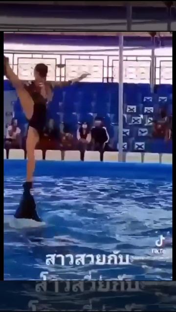 Девушка на носу дельфина.