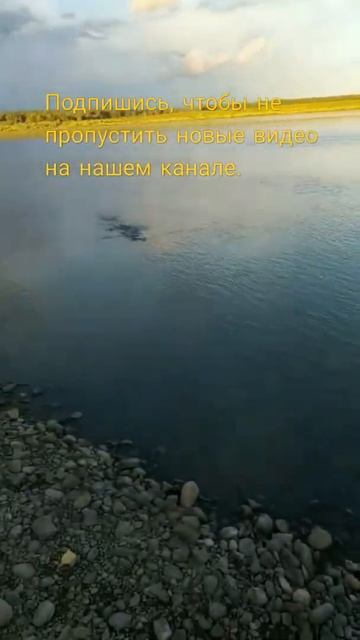 р.Томь. Рыбы клюют парами! Рыбалка с берега 2022.