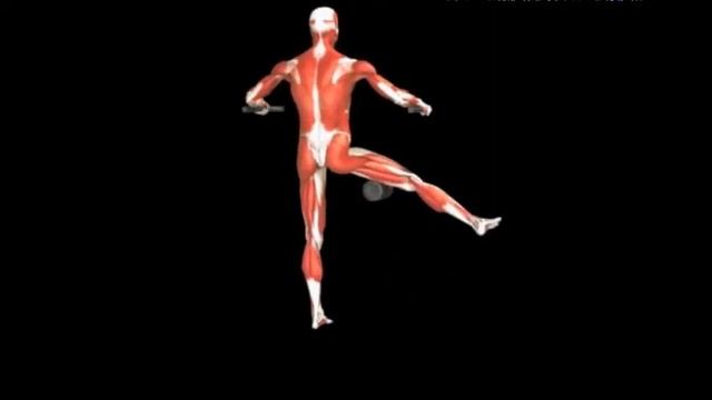 Приведение бедра на рычажном тренажере стоя Standing Hip Addu