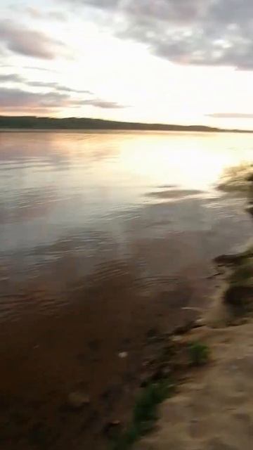 #рыбалка #фидер #р Кама #природа #красота #отдых #лето