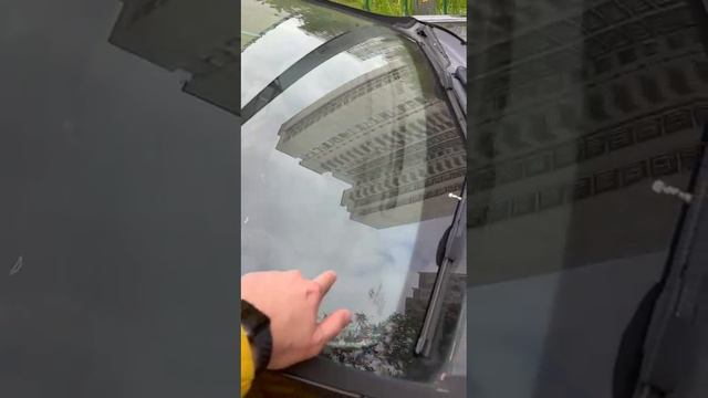 VID-20250512-WA0011.mp4