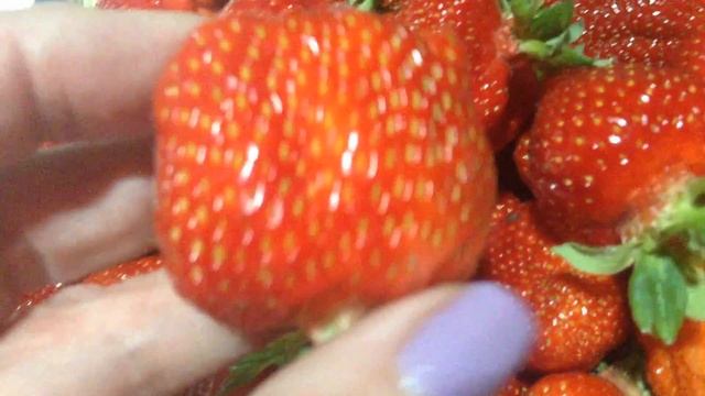 Мой Натюрморт.А жизнь продолжается!