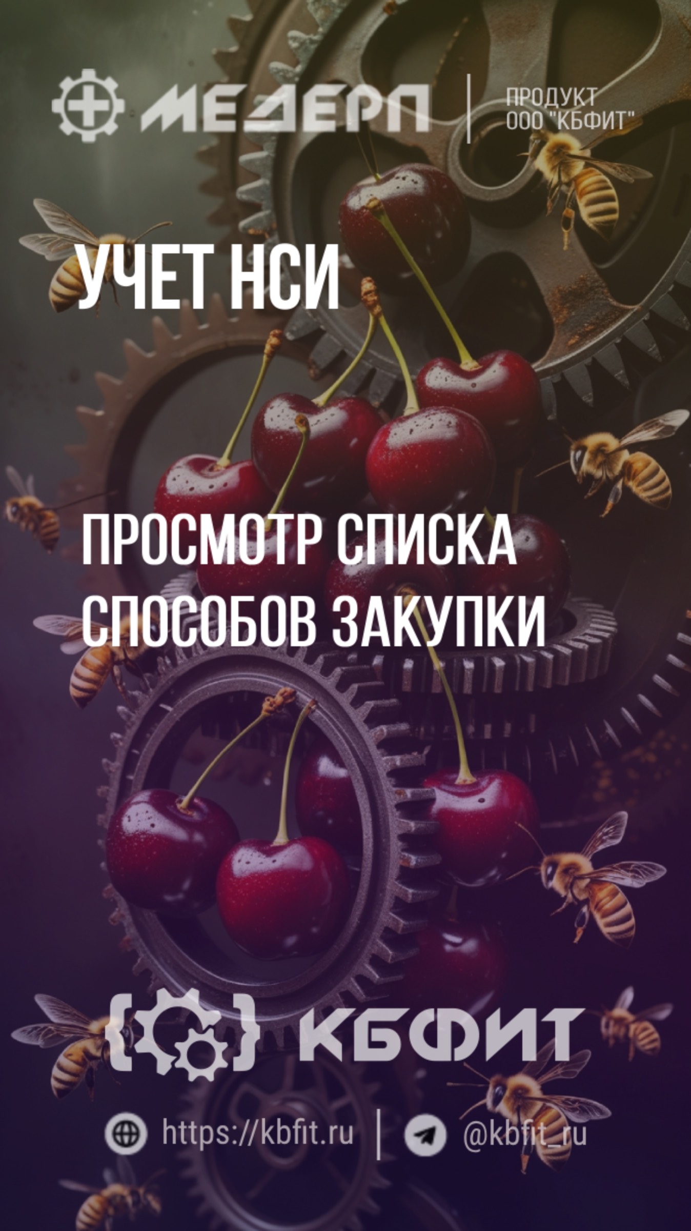 КБФИТ: МЕДЕРП. Учет НСИ: Просмотр списка способов закупки