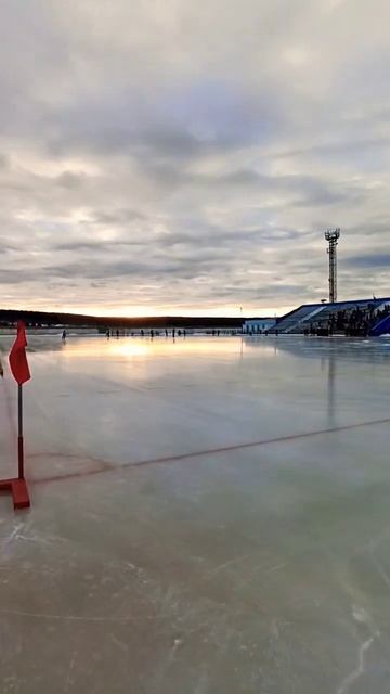 #bandy #хоккейсмячом #shorts #shorts #short