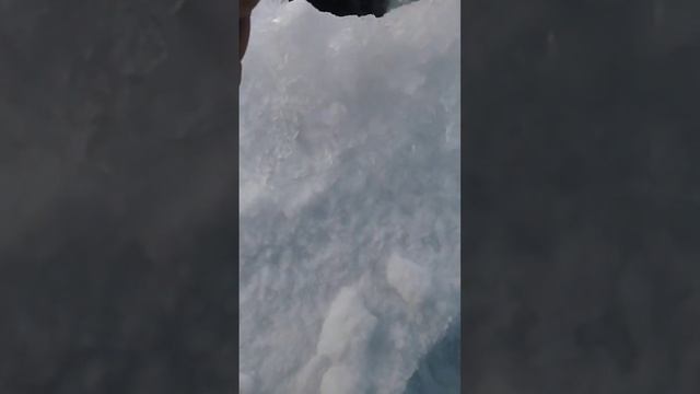 Трофейная щука #shorts полную версию фильма Вы можете пос