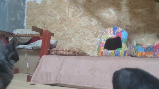 Добро это самое важное в людях