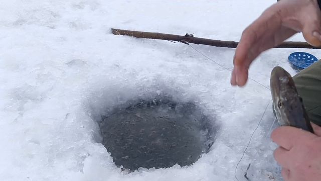 Проверка тычек.1.12.24г.
