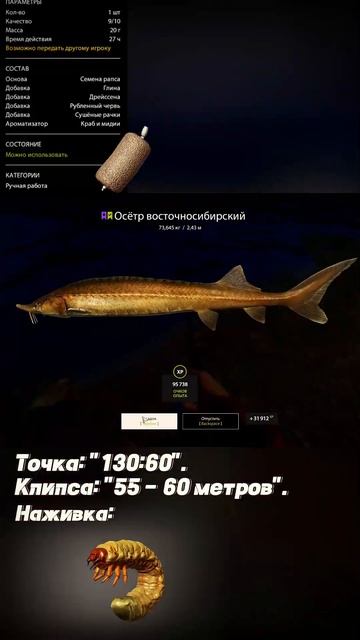 • ✦ Русская рыбалка 4 (RF4): ОСЁТР ВОСТОЧНОСИБИРСКИЙ. (р.