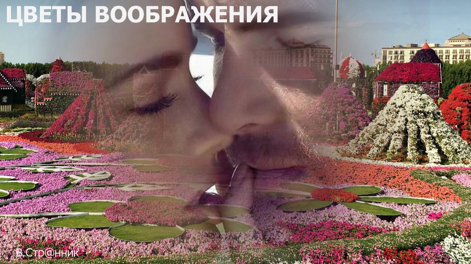 Цветы воображенья - В.Стр@нник