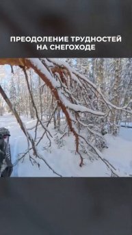 СНЕГОХОД СТАЛКЕР | ЛУЧШИЙ ДЛЯ ЛЕСА! ПОЛНЫЙ ОБЗОР