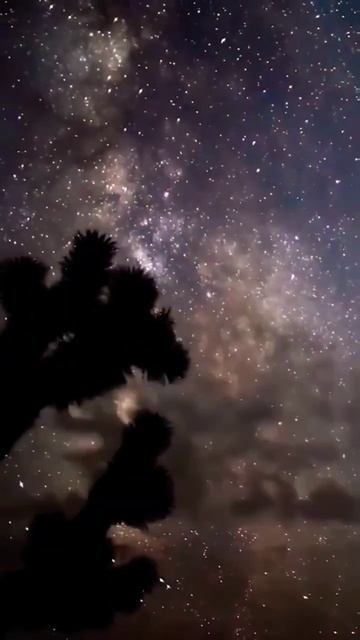 Телец ♉-Гороскоп на Январь 2023 года от Мэри Рау #онлайн