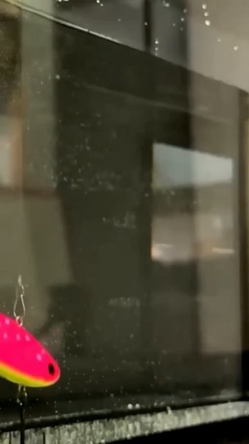 ECOPRO Мышь приманка 2 в 1 2 часть mp4 #рыбалка #fishing #зимняя