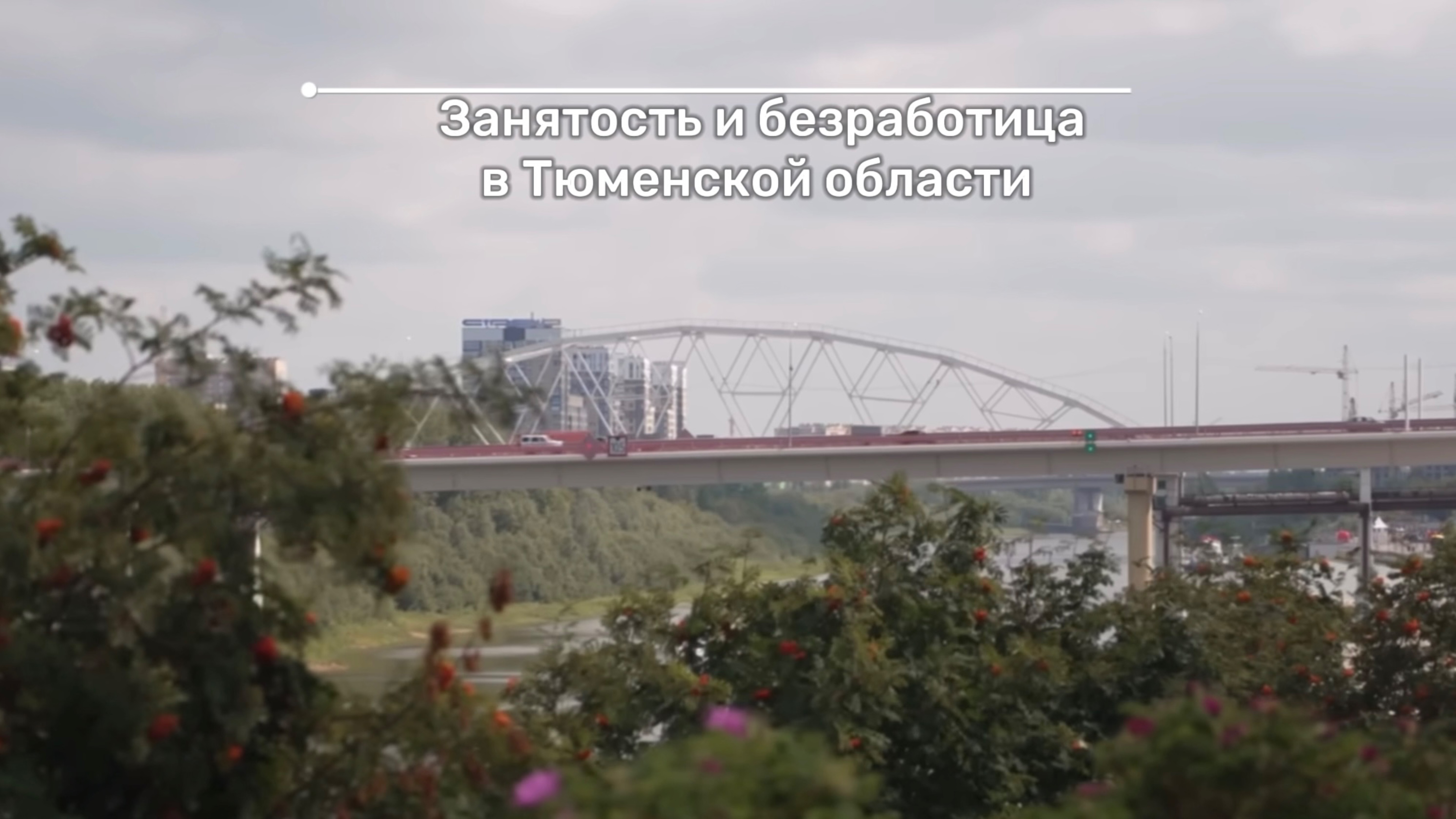 Занятость и безработица в Тюмени