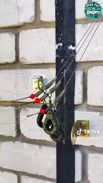 Снасти для ловли. Пора на сома сома#карп#сом#карась#саз