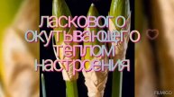Я Желаю Себе. ♥Я Желаю Тебе. ♥ Мелочь, а Приятно. 💚🧩🤗