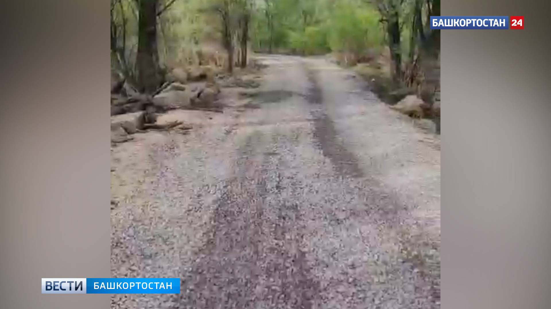 В Уфе открыли ранее подтопленную дорогу к СНТ "Козарез"