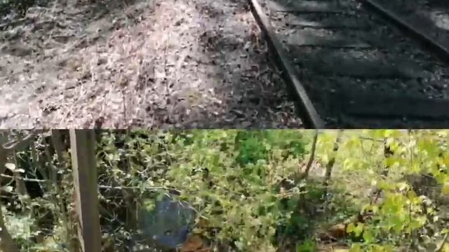 Копаем с Металлоискателем 8 Серия