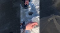 Ловим корюшку, Камчатский край