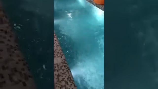 Противоток в частном бассейне