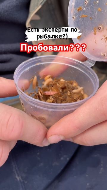 Как на вкус?) #рыбалка #fishing #fish #fishingvideo #приманка #наживк