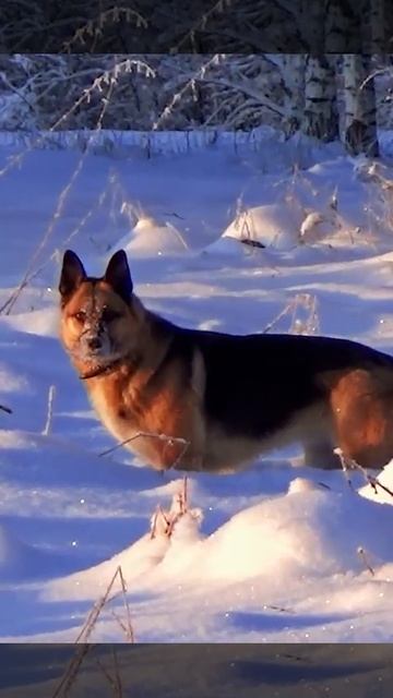 Зимний,ясный,солнечный день на Селигере. #селигер #рыб?