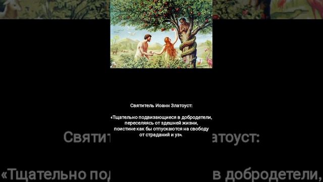 Последствия Греха Прародителей...