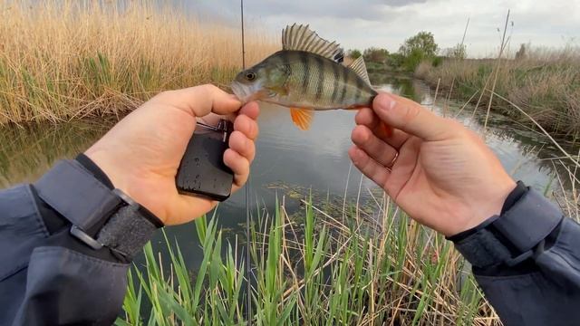 МОРМЫШКА. МИКРОРЕЧКА. ВЕСНА.