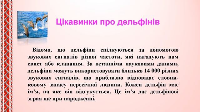 Розумна тваринка.