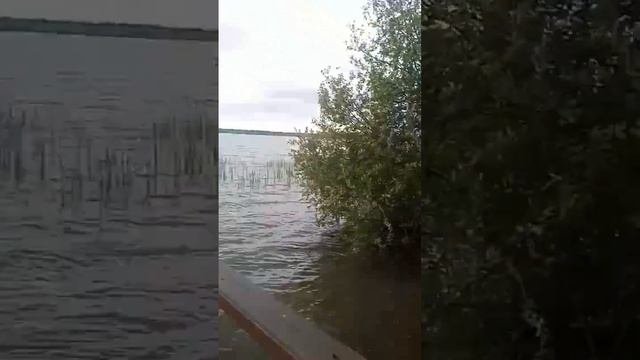 31 мая 2024 г.