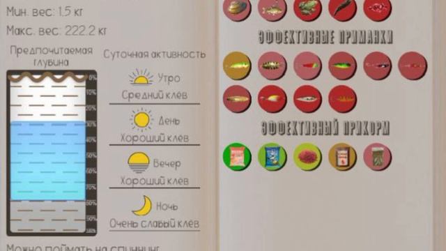 РЕАЛЬНАЯ РЫБАЛКА 2 | КАЛУГА