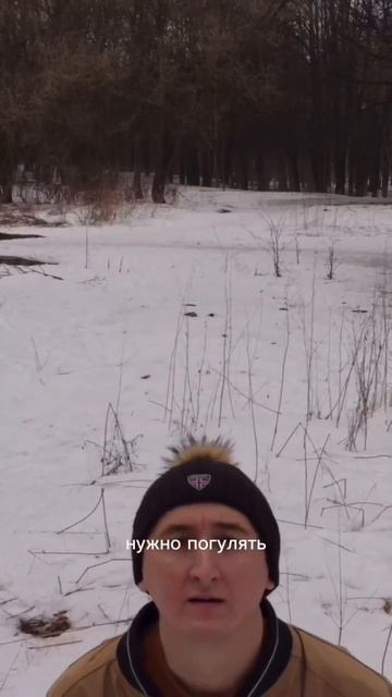 Как фотографировать в лесу ? Несколько правил и атмосф