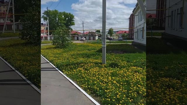 20250511_141934.mp4