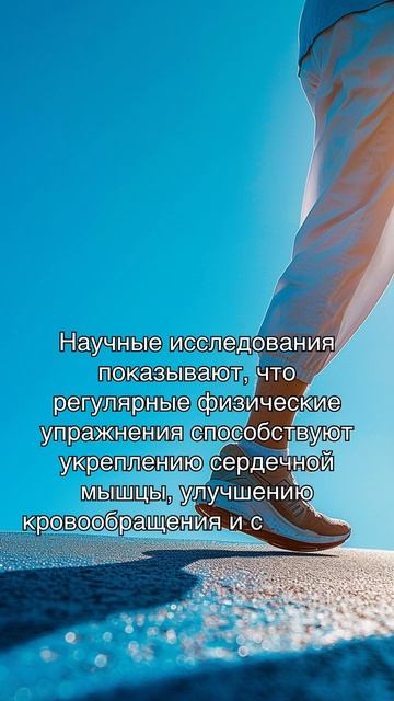 Здоровье сердечно-сосудистой системы