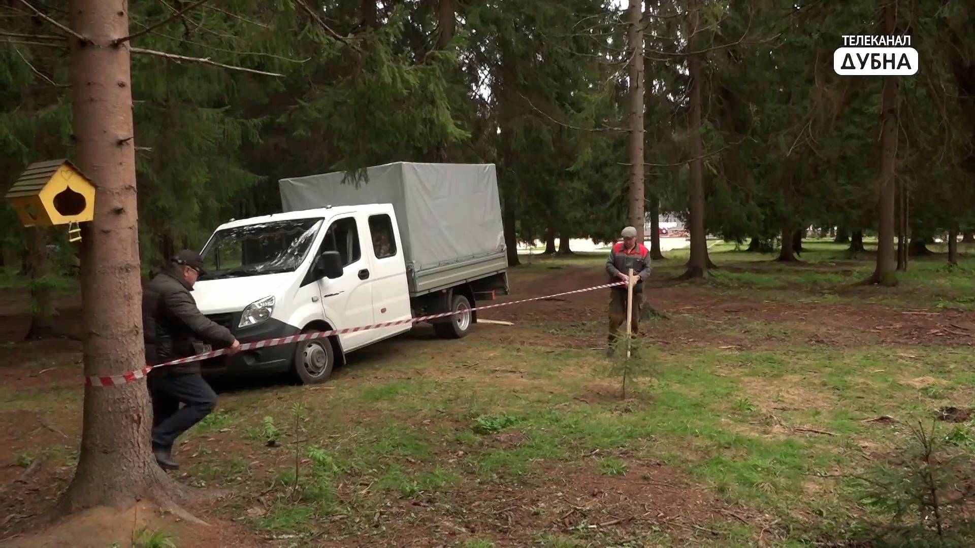 На "Братских могилах" в Дубне огораживают лесопосадки