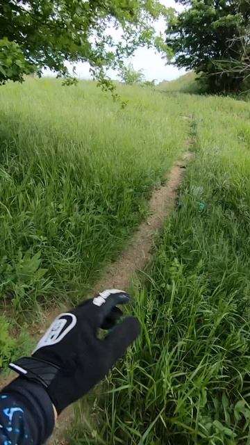 Внезапная встреча #shorts #enduro #эндуро #moto #мото