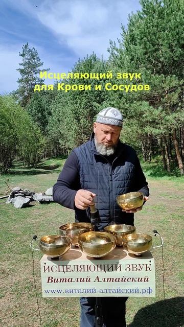 Для Крови и Сосудов
