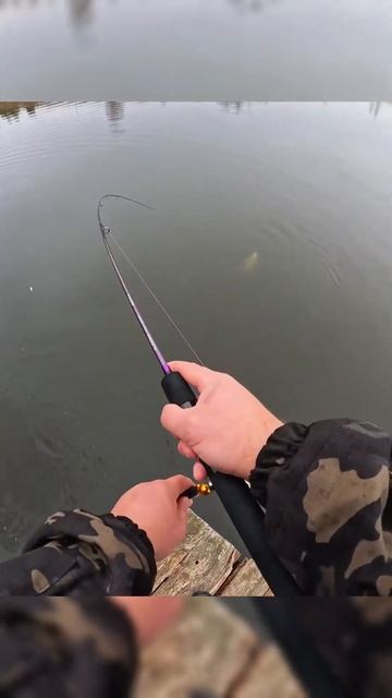 Часть 2. Рыбалка на форель на спиннинг #fishing #рыбалка #па